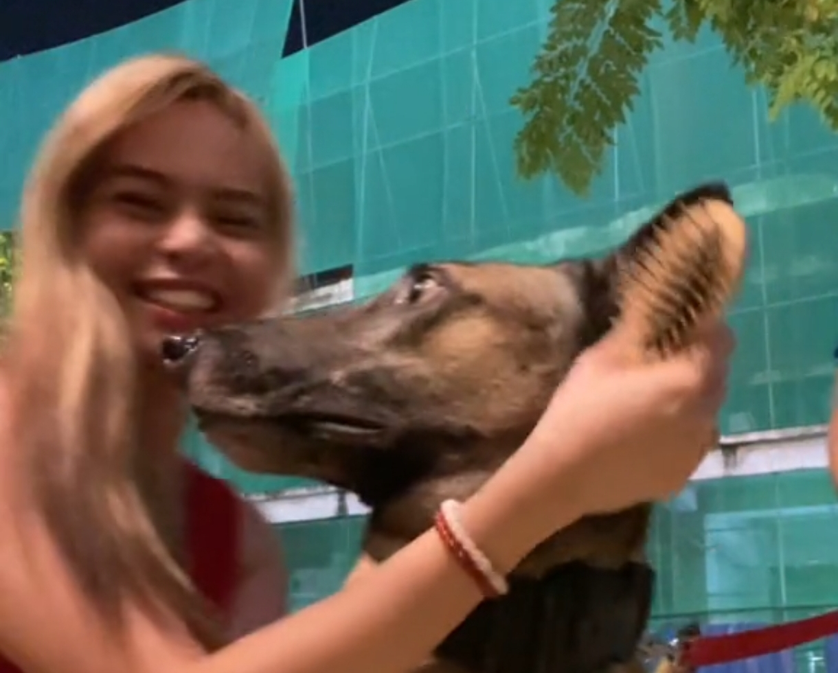 Garota atacada por cachorro
